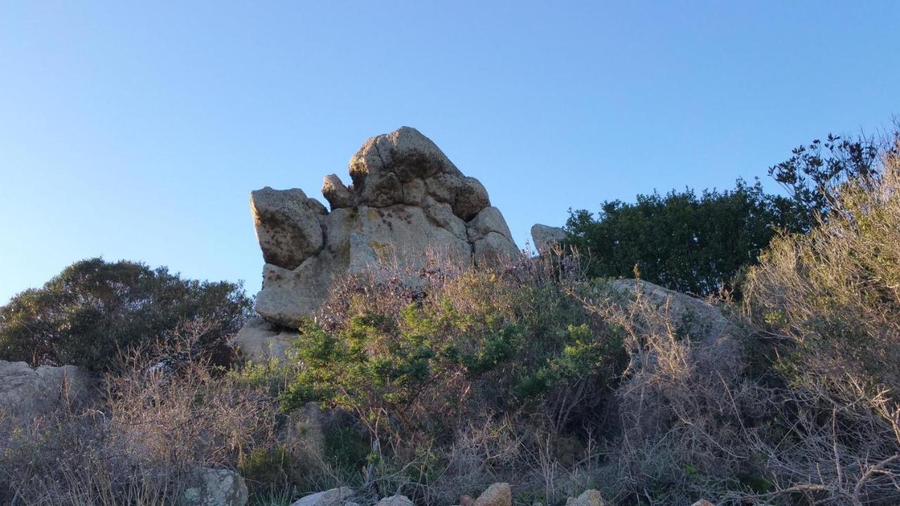 Residence Frontemare Santa Teresa Gallura Bilik gambar